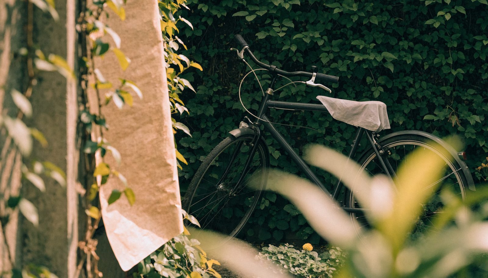Fahrrad mit Sattelbezug vor einer dicht begrünten Wand